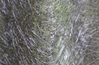 Ratho fibreglass roof work